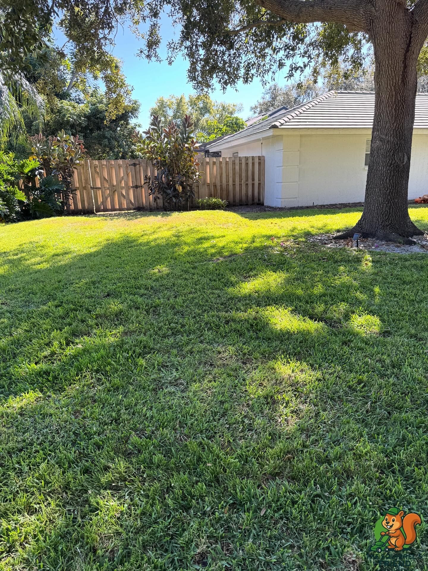 Lawn maintenance project