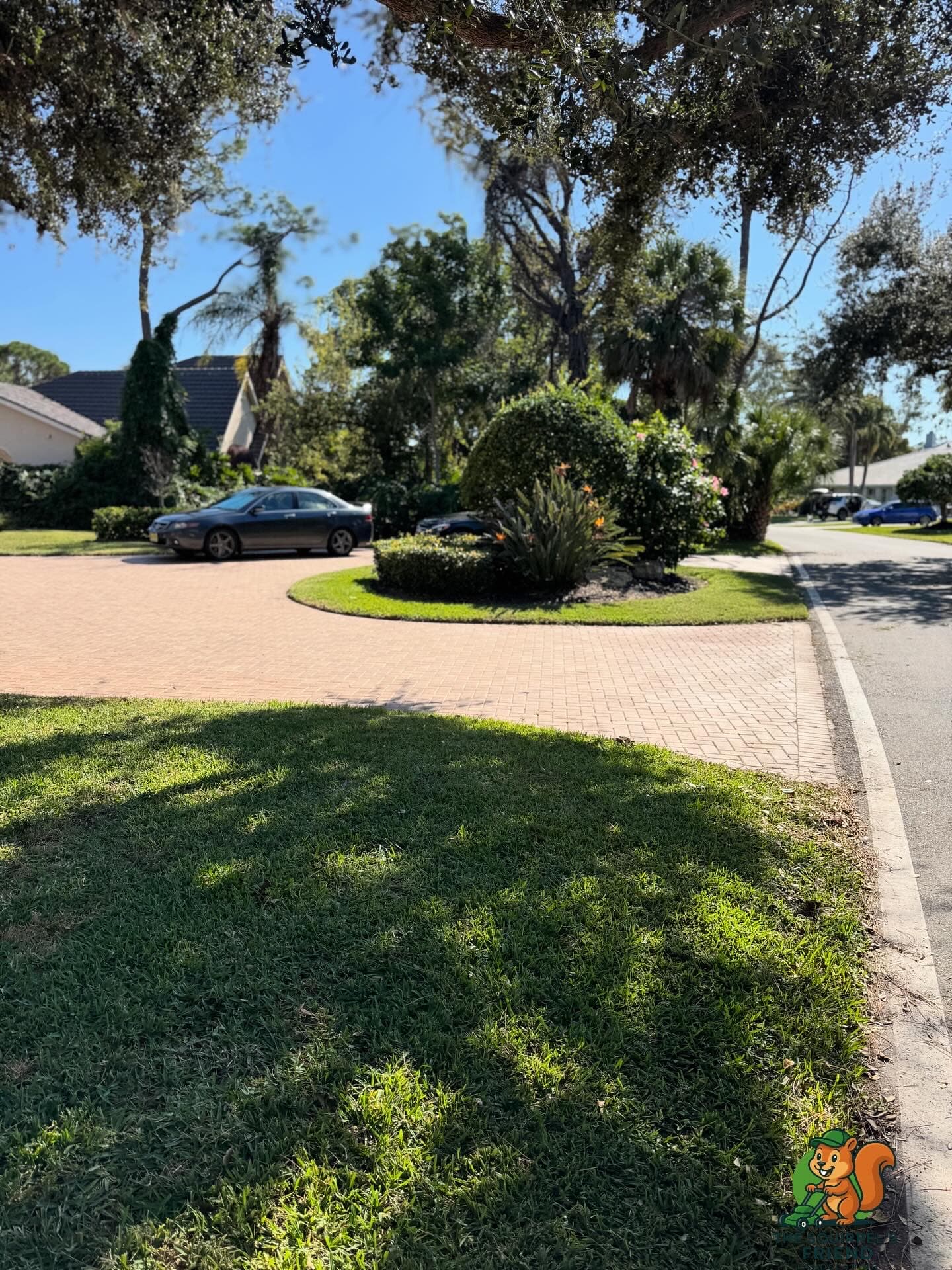 Residential yard cleanup