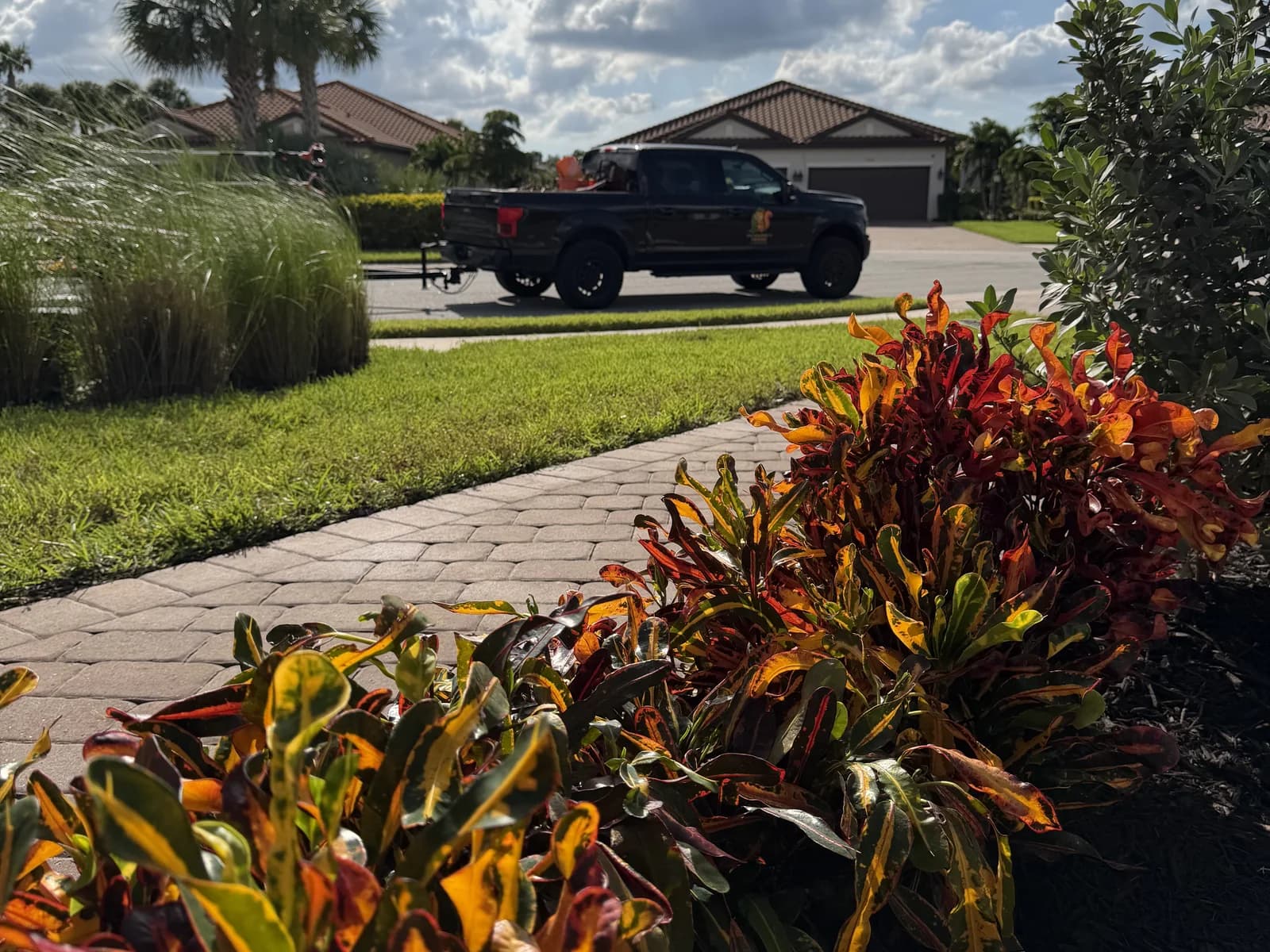 A bright croton bed along a paver walkway with the Squirrel's Friend truck at the curb