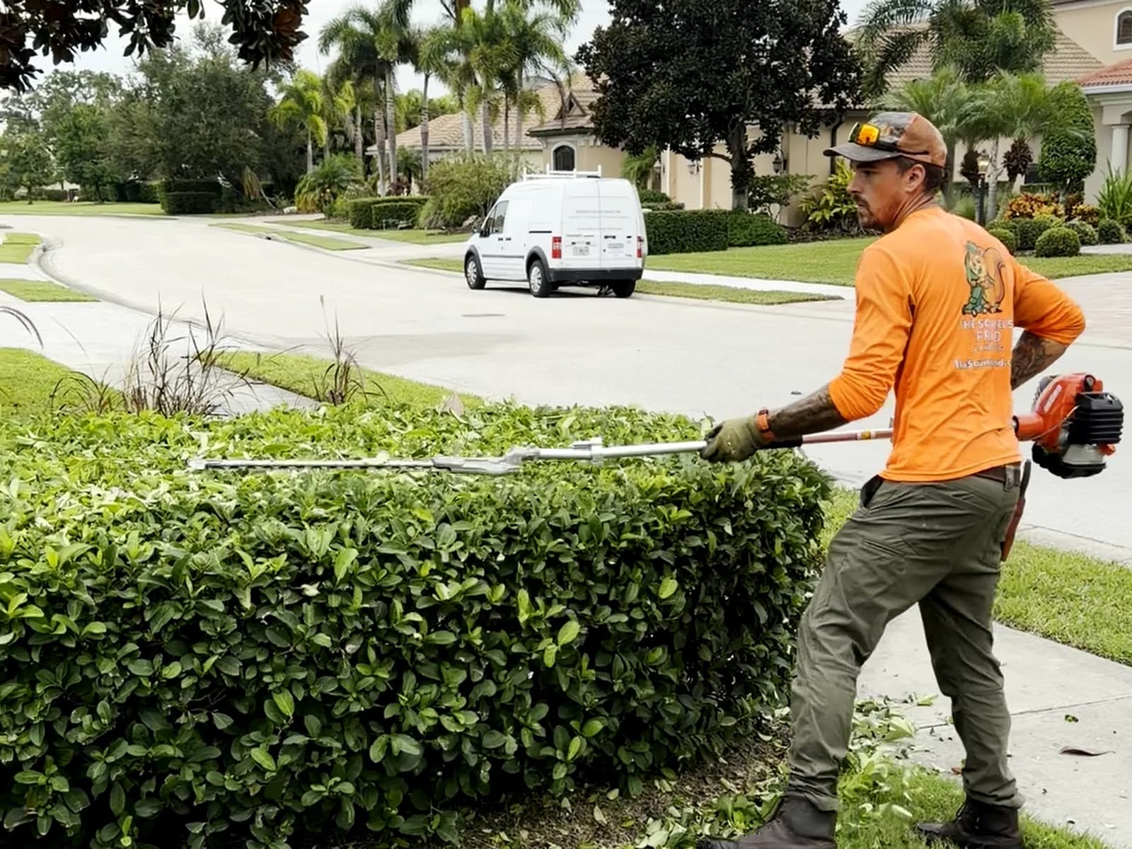 Alex shaping a hedge with a long-reach trimmer
