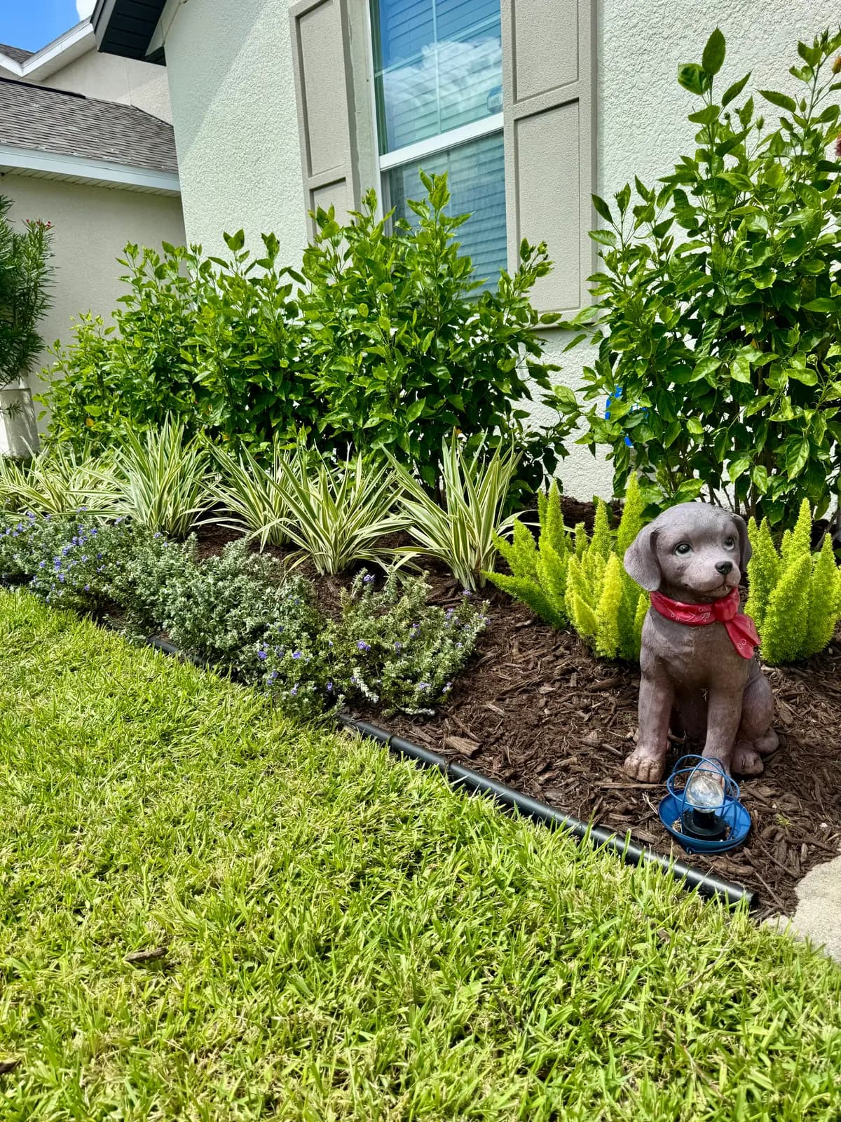 A planting bed with a crisp cut edge against maintained turf