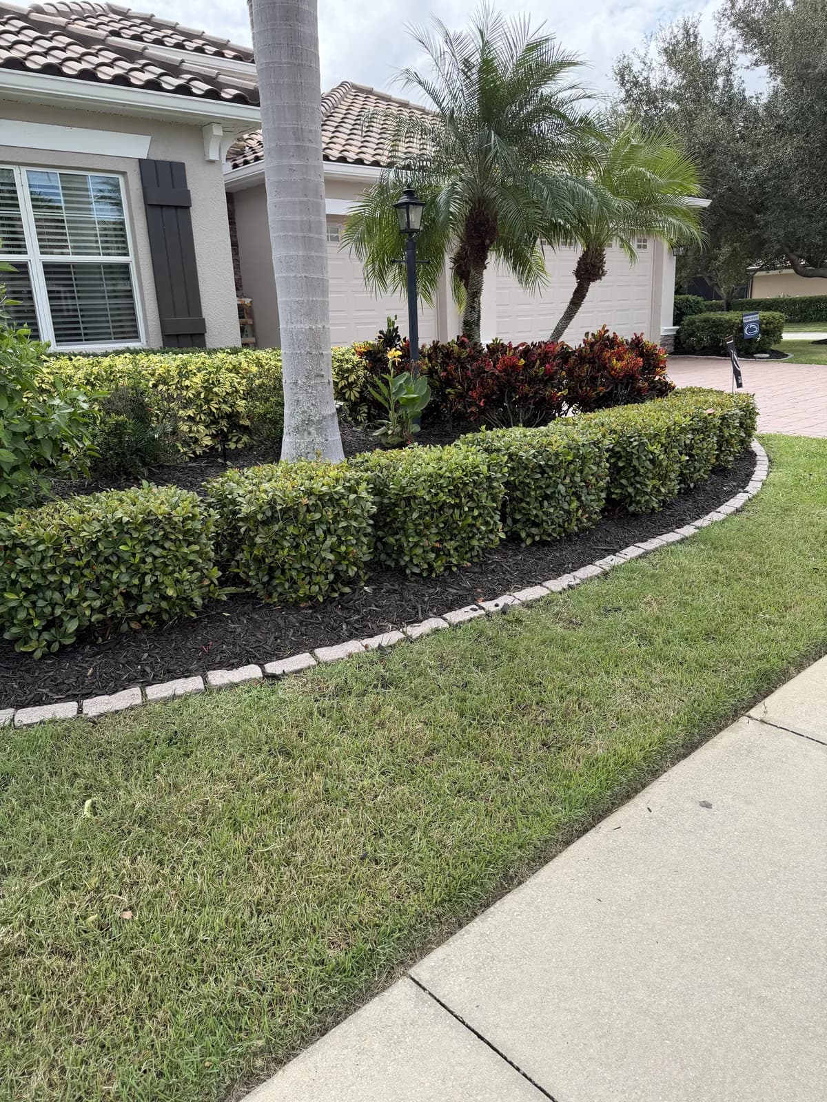 A tight boxwood border with curb edging and fresh mulch