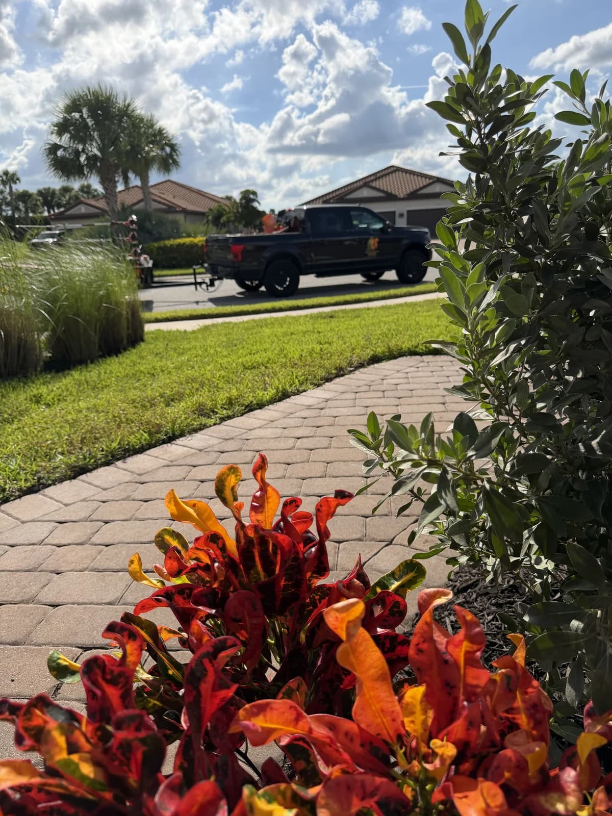 Crotons along a paver walk with the Squirrel's Friend truck at the curb