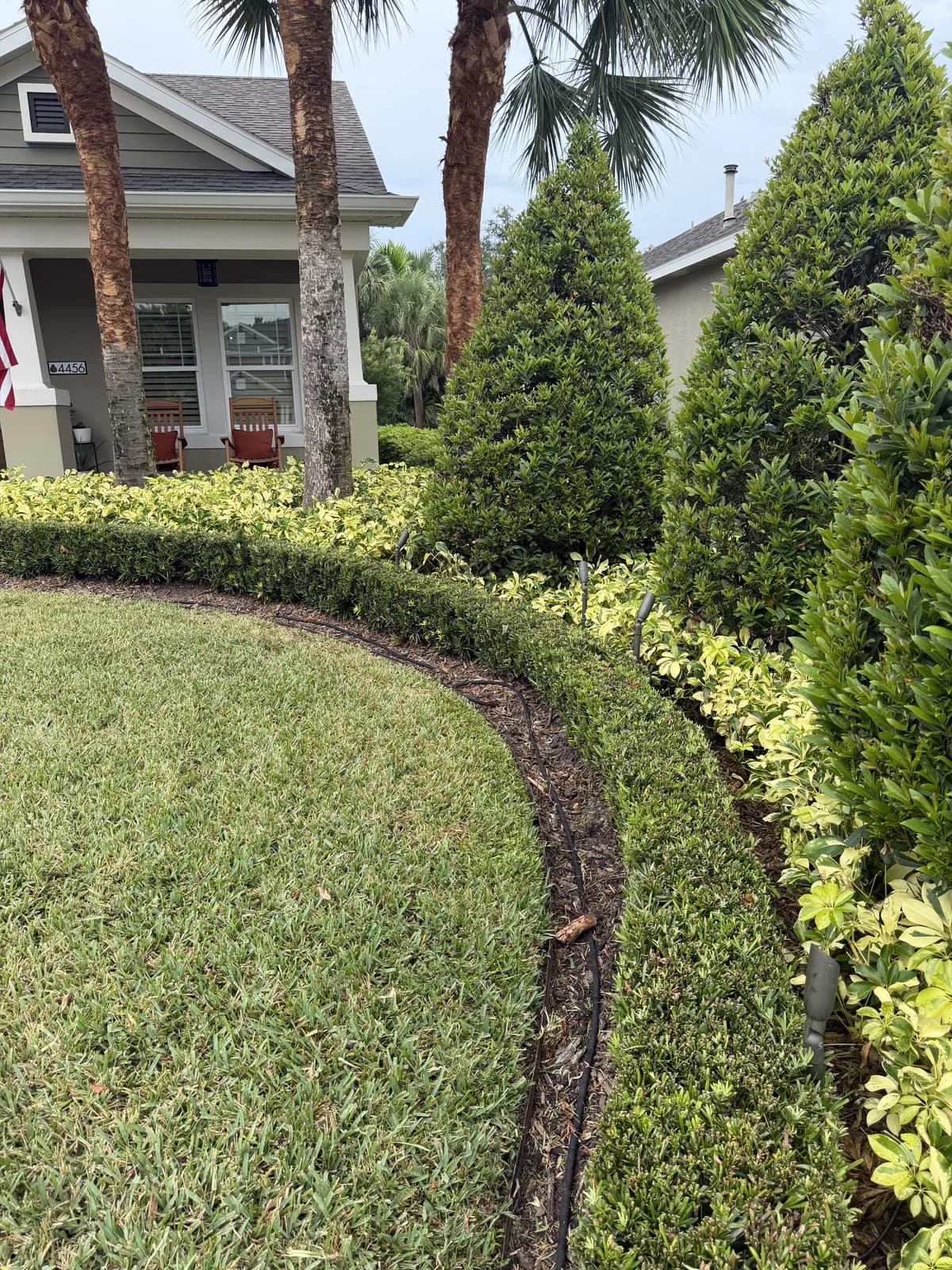 A clean curved bed edge between hedge and lawn