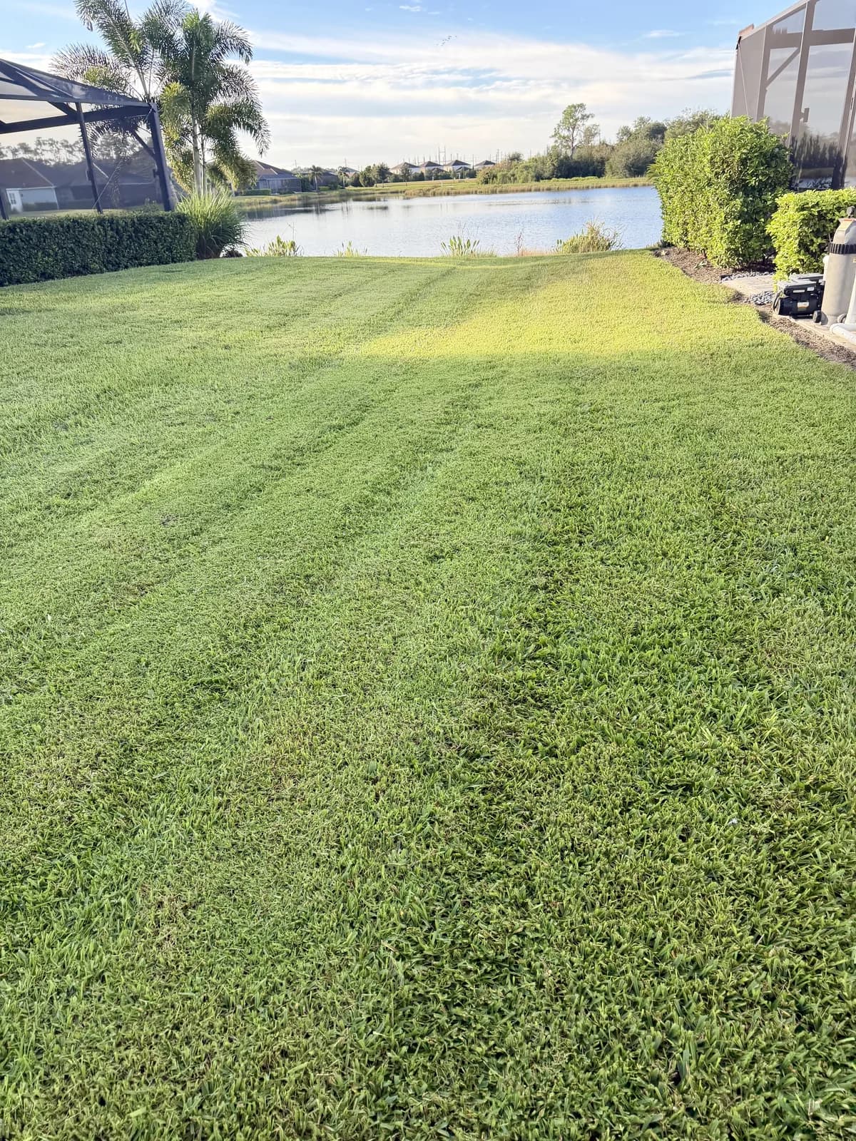 A striped lakefront lawn