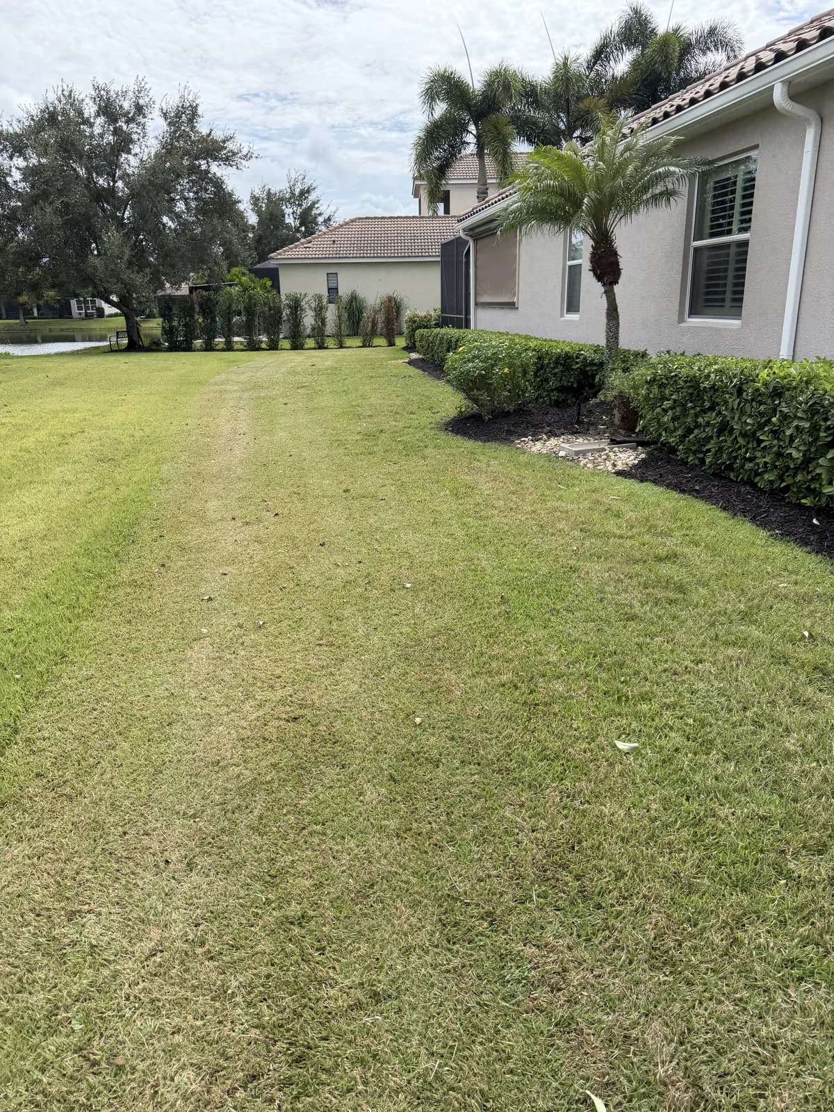 A striped side yard with trimmed shrubs along the house
