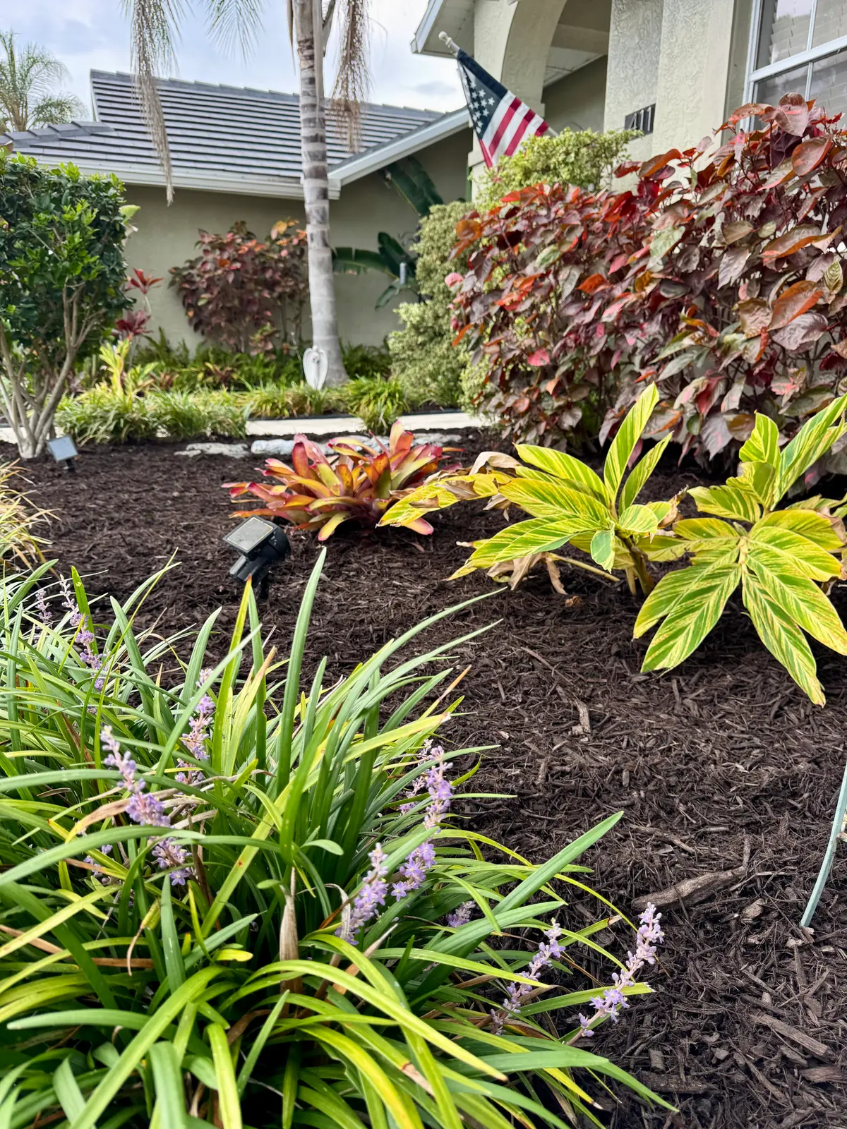 A planting bed of colorful crotons and coleus in fresh mulch