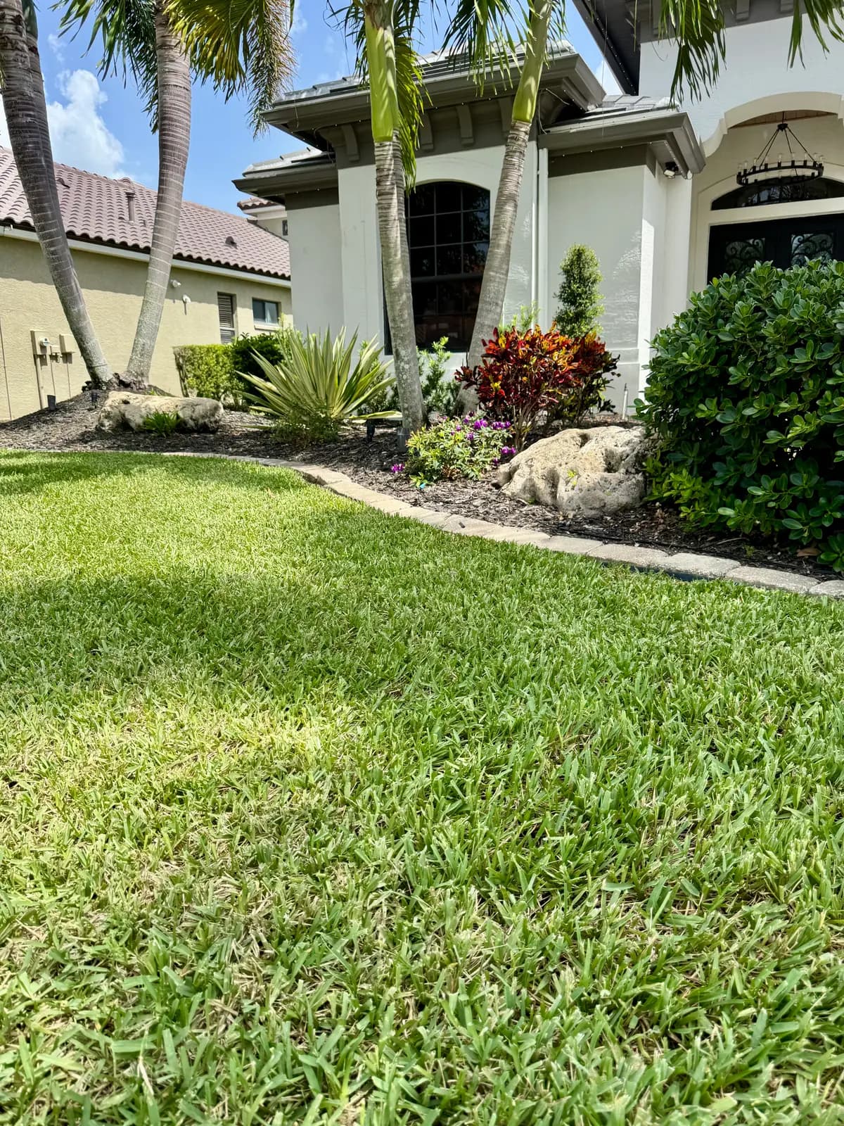 The front of a house with palms, mulched beds and a maintained lawn