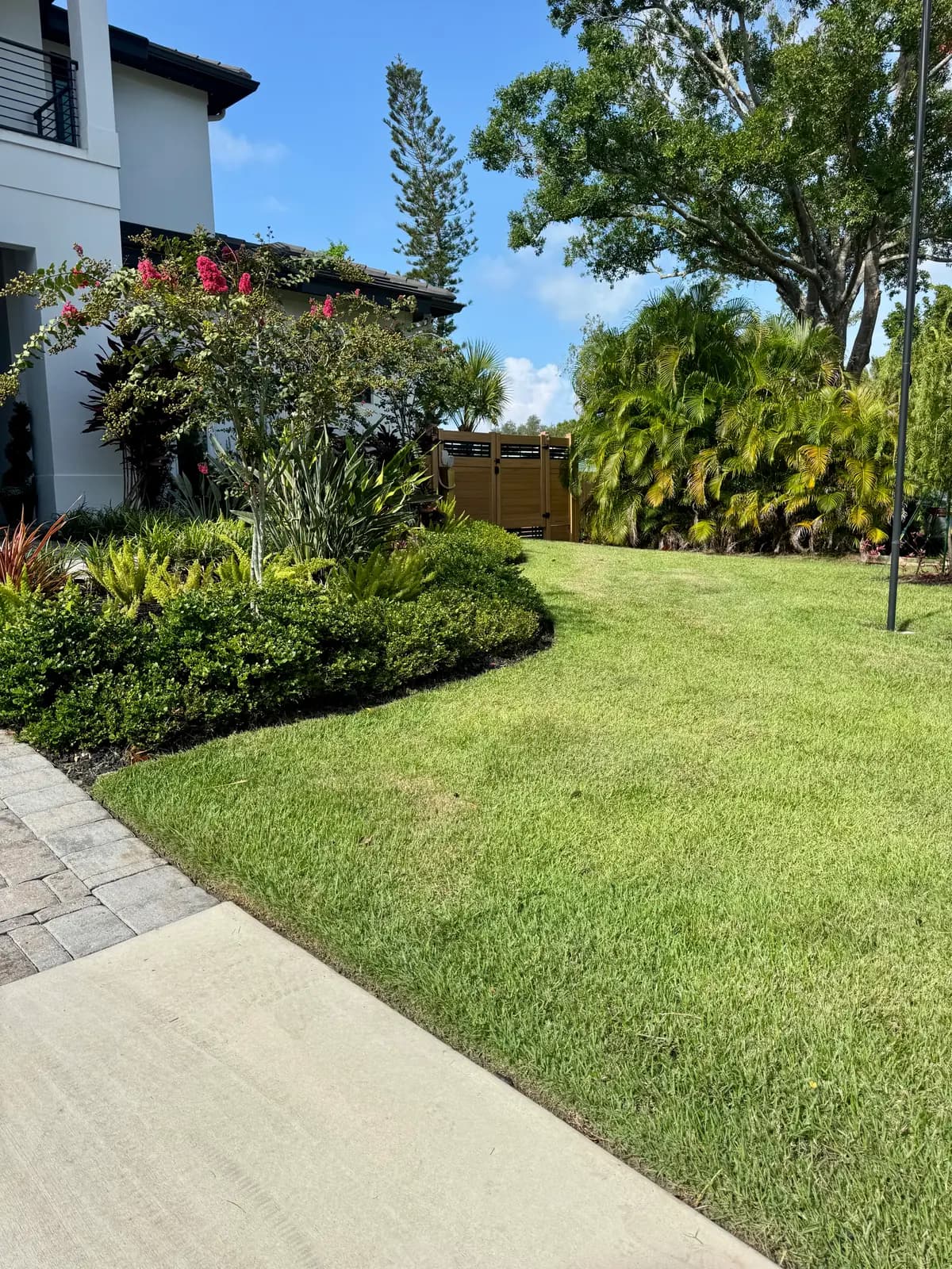 A modern white house behind trimmed hedges and a clean lawn edge along the sidewalk