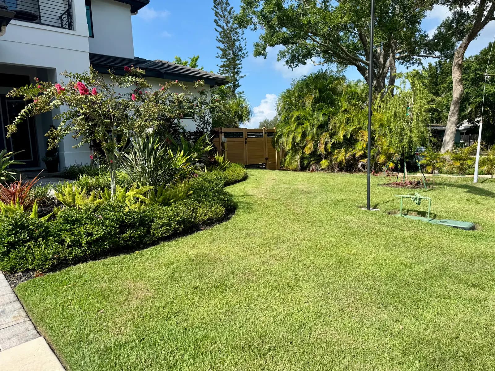 A wide view of a modern home backyard with a curved planting bed and open lawn