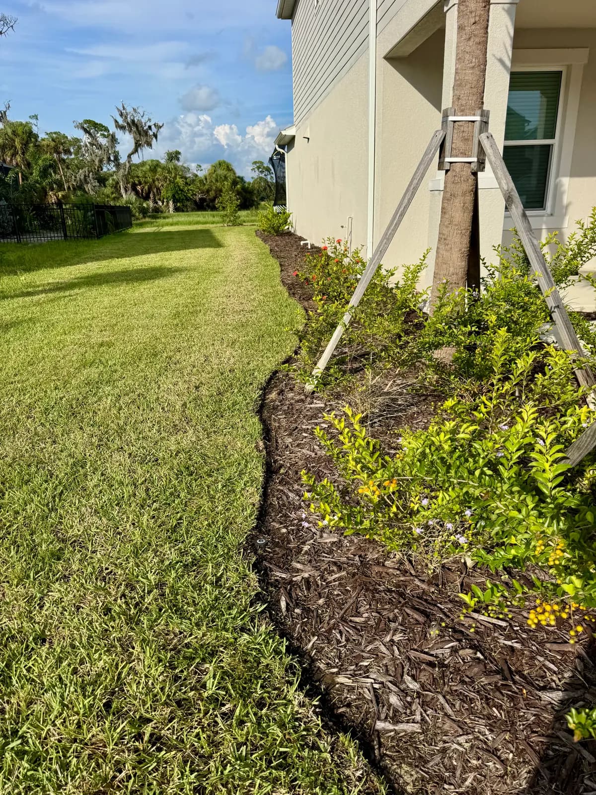 A long curved mulch bed running beside a mowed lawn