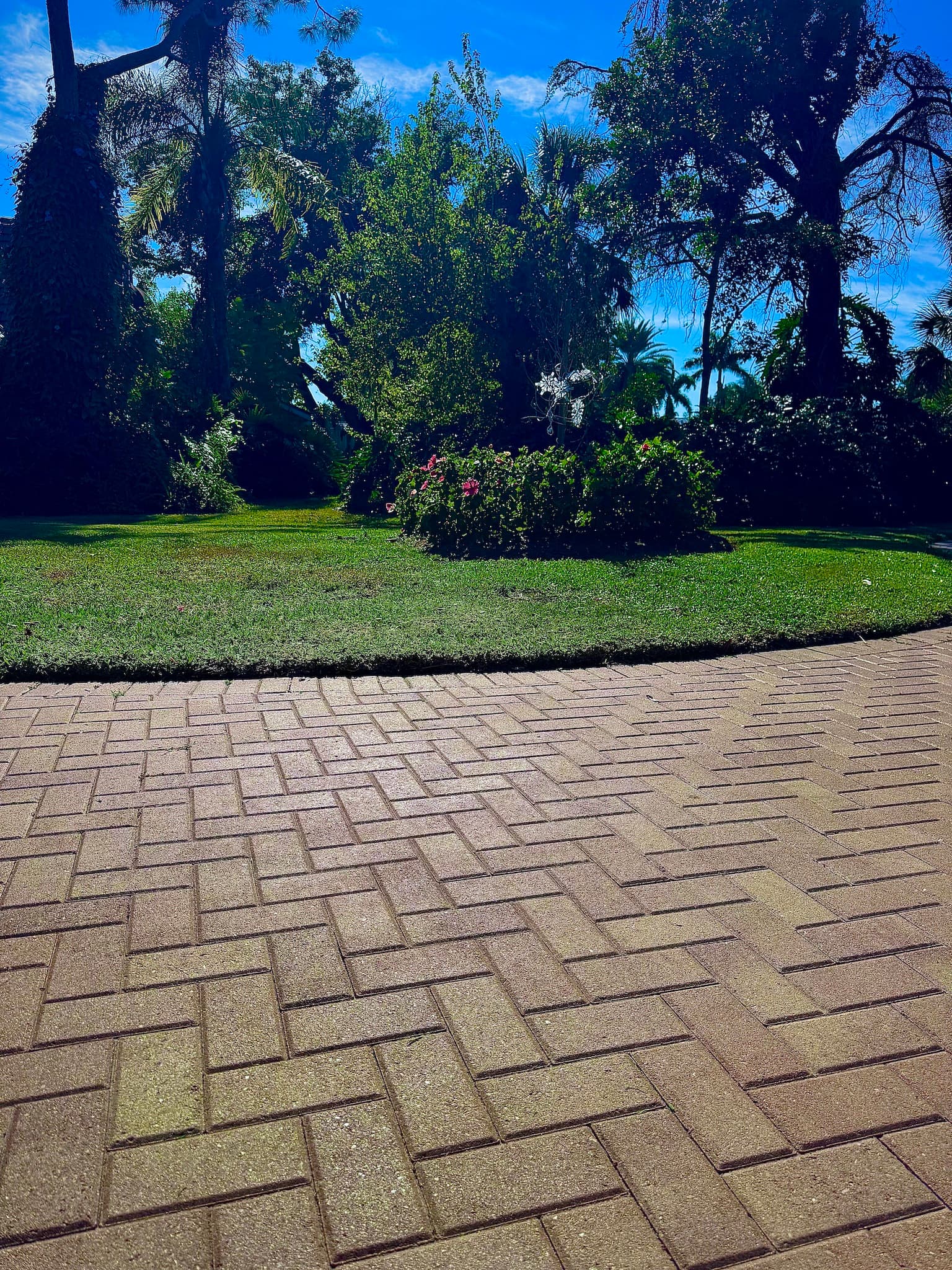 Before and after lawn care