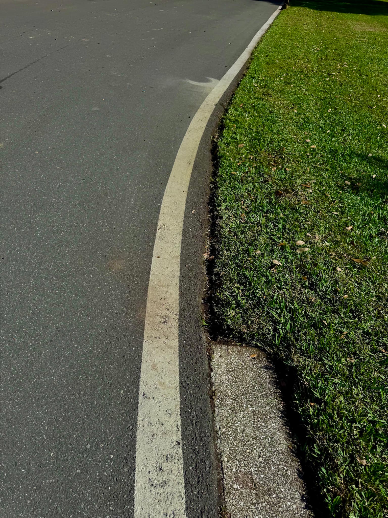 Mulch and bed cleanup