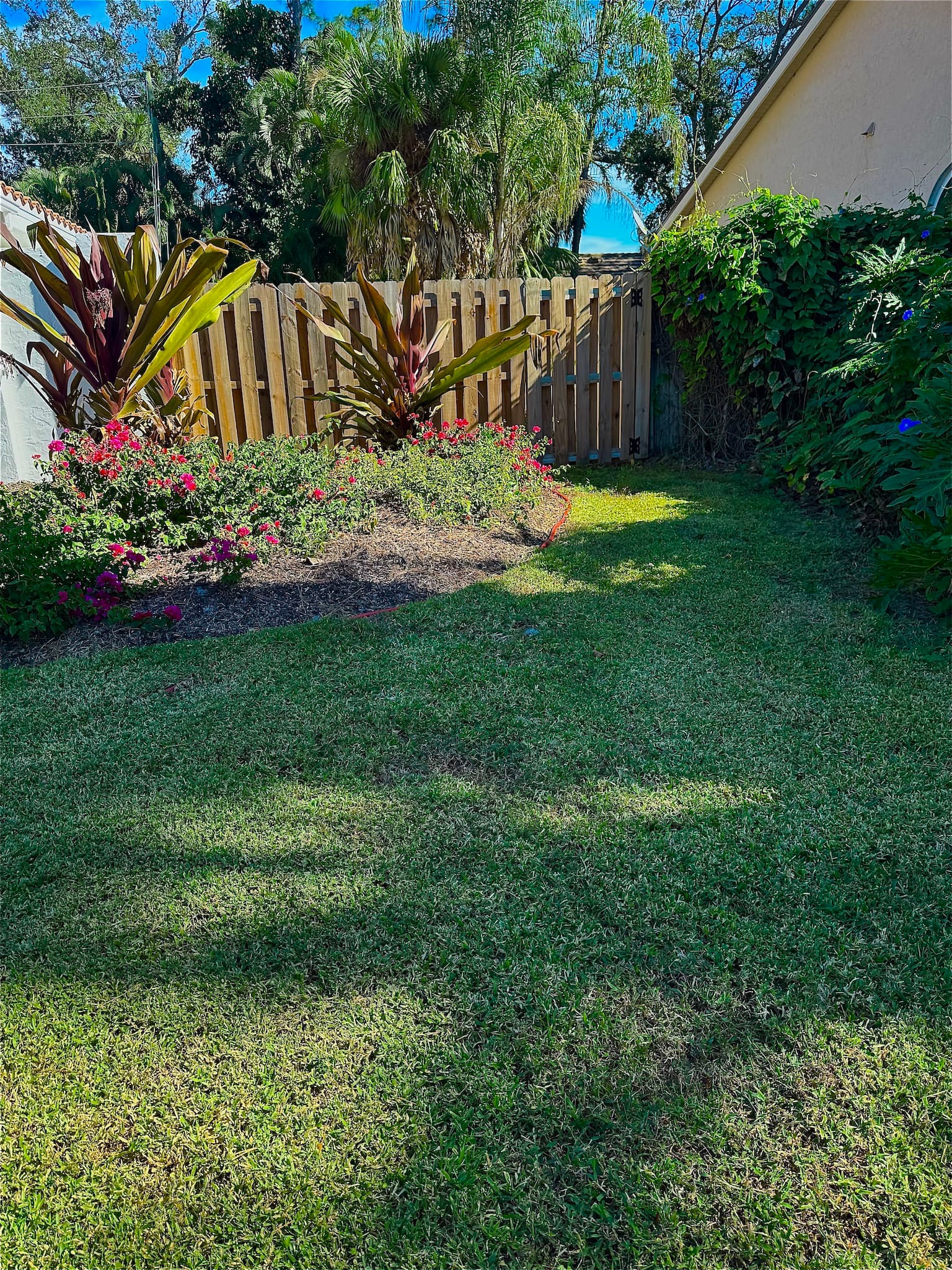 Finished lawn result